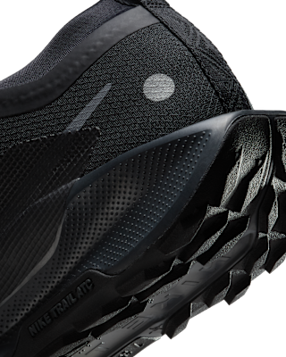 NIKE公式】ナイキ ペガサス トレイル 5 GORE-TEX ウィメンズ 防水